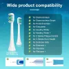 Brosse à dents 16pcs Brosse à dents Tête pour Philips Sonicare Electric Brosse de la brosse à dents