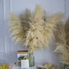 Fleurs décoratives 110 cm Grand panache Dry Pampas Pampas Fluffy Grass Boho Décor de mariage Boho Natural Real Preserved Flower Home Garden