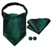 Bow Ties Hi-Tie Silk Green Mens Ascot Tie Pocket Square Cufflinks Set Jacquard Woven Cravat för manliga brudgummen Bröllopsaffärsevenemang