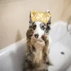 Dog Apparel 2 Pcs Pet Shower Cap Kitten Bath Caps Household Hats Tab Polyester Puppy Accessory Portable