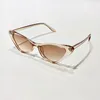 Lunettes de soleil UV400 Protection Cat Eye Vintage Small Frame Trendy Retro Shades Streetwear Accessoires pour femmes