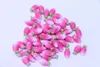 Dekoratif Çiçekler 20/50 PCS Kawaii Simülasyon Yemek Reçine Pembe Havuç Düz Cabochon DIY Craft Scrapbooking Aksesuarlar Küpe