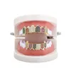 Hip Hop Hip Hop Gold Braces Fangs Colors 6 Colors Micro Encrusted Diamond Gold Teeth Ornament Frozen Grill