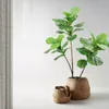 Dekorativa blommor 105 cm (41.3in) Konstgjord fiolblad Ficus Fig.