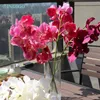 زهور الزخرفة الوردي Vanda Orchid 60cm اللمسات اللاتكس طلاء البتلة كبيرة الحجم الزفاف الزفاف الاصطناعي الزهور الحدث الحفل الزخرفة -