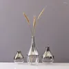 Vasen Gradient Glass Blumenkern Dekoration Geschenk Weihnachten Home Vase Trocknen nordisches Silber