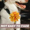 犬のアパレル10 PCS弓装飾花ペット首輪子犬のグルーミングアクセサリー猫レースの花の装飾
