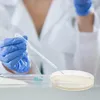 10st Prepoured Agar Plates Petri -rätter med Science Experiment Projects Laboratorie Supplies