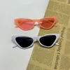 Lunettes de soleil UV400 Protection Cat Eye Vintage Small Frame Trendy Retro Shades Streetwear Accessoires pour femmes