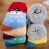 5 pares/lote de algodão crianças meias para meninos meninos de inverno Espurar as meias de esportes casuais de moda de cor sólida para crianças 240407