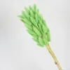 Dekorative Blumen flauschige Schwänze Gras getrockneter Naturpampas Reed Reed Hochzeit Bouquet Weihnachtsfeier Garten Dekor Boho Home DIY Dekoration