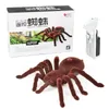Controle remoto de simulação de Halloween 11 2CH Infravermelho RC RC Spider Toy Prank Presente 240417