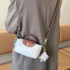 2024女性用のショルダーバッグ高級ハンドバッグデザイナー女性小さなクロスボーデイメッセンジャーバッグ