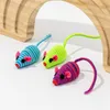 لعبة Pet Cat Toy Color Mouse Mouse Cat Toy Pet Supplies Cat Interactive Chew Toy Pet Accessories أداة تنظيف الأسنان