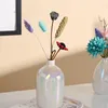 Vasos Eletroplatação brilhante Cerâmica Pote de flores Creative Botty Hydroponic Hidropônico Decoração de arranjo de mesa de estar moderna