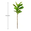 Dekorativa blommor 105 cm (41.3in) Konstgjord fiolblad Ficus Fig.