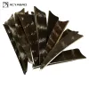 Packs No Colored Archery Feather 3/4/5 inch 50pcs/bag Hunting Arrow Fletching Fletches Natural grey and stripe Turkey Feathers