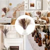 Fiori decorativi 120pcs pampas erba perfetta per decorazioni di Halloween autunnale arrangiamenti di matrimoni natalizi boho room naturale essiccato