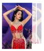 Scene Wear Belly Dance Suit Satin Bra Split Big Swing Kirt Performance Clothes Set Woman High-End Competition Clothing Oriental Dancewear