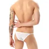 Underpants Bass Rise Briefs uomini Sexy biancheria intima maschio traspirante in nylon bikini tronchi senza cuciture mania