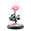 装飾的な花ガラスドームの永遠のバラロマンチックな美学の花の贈り物母の日