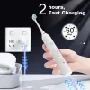 Heads Electric Tooth Brush Sonic Vibrator Scalers For Teeth Whinding Teeth Tartar Stain Tooth Calculus Remover Teeth Cleaning Tools