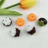 Charmos 10pcs vegetais abóbora Mangoteen Resina Brincho de DIY Acalhos 3D Pulseiras de chaves de chave