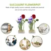 Decoratieve bloemen Jianshan Bloemarrangement Basis Bloemfixatie Holder Japanse Pin Plant Arrangementen