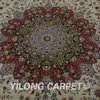 Carpets Yilong 10'x14' Persian Living Room Rugs On Sale Exquisite Modern Wool Silk Carpet (1497)