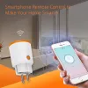 Kontrola HomeKit Tuya Smart Zigbee 3.0 Wtyczka zasilająca 16A UE Miernik zdalnego sterowania Prace z Zigbee2Mqttt i asystentem domu Tuya Hub