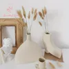 Dekorative Blumen flauschige Schwänze Gras getrockneter Naturpampas Reed Reed Hochzeit Bouquet Weihnachtsfeier Garten Dekor Boho Home DIY Dekoration