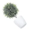 Fleurs décoratives mini artificiel sphérique en pot plant de bureau plantes en plastique réaliste faux vert