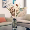 Fleurs décoratives Pampas Grass Natural séché éternel Rose Rose Vase Vase Bouquet Pompous Boho Table Home Farmhouse Decor