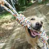 Chaînes 60cm animaux toys morse dent dentaire corde de chien jouet pour gros chiens