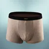 Underpants 2024 uomini boxer pantaloncini di cotone mutandine maschio grande marchio trasparente comodo