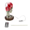 Dekorativa blommor LED Rose Bottle Light med sträng USB -driven sängkontroll Kontroll Ambient för alla hjärtans dag Mors