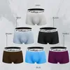 Sous-pants 2024 Brand Men Underwear Coton Soft Cotton Boxer Shorts Panties Hombres de Ropa multi-couleurs Hombre