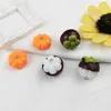 Charms 10pcs Warzywa Dyniowe owoce Mangosteen Kolejki DIY Informacje DIY