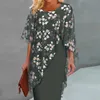 Printed Patchwork Chiffon Aline Dress Elegant Oneck 34 Sleeve Commuting Vintage Slim Party Dresses Vestidos 240411