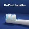 Heads 10PCS For XIAOMI T100 Replacement Brush Heads Sonic Electric Toothbrush Soft DuPont Bristle Suitable Nozzles Vacuum Packaging