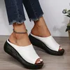 Slippers Women Summer Ethnic Style Wedge with Fish Mouth One Word Drag Cake Thick Bottom Womens Shoes Large Size 240415