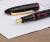 Pens Moonman M100 Résine Creative Fountain Fountain Pen schmidt Convertisseur et Fine Nib 0,5 mm Enk Pen Gold Trim Writing Gift Styl