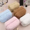 Aufbewahrungstaschen kleine Kosmetialbeutel süßer Plüsch -Make -up -Organizer Beutel Kawaii Bleistift Hülle Reisemünze Geldbeutel Haushalt