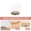 Vases 1 Set Of Flower Glass Cover Clear Dome With Glowing Base Desktop
