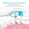 Koppen sonische elektrische tandenborstel draadloze lading ultrasone tandenborstels voor volwassen tandenborstelkoppen bleken tanden sarmocare s700