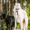 Parti Malzemeleri Köpek yaka ayı itici çan klipsleri kamp çanları yürüyüş için alarmı süslemek için hayvan asma uyarı bride damat