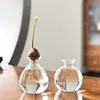 花瓶アボカドシードスターターVaseクリア耐熱ガラスプランターツリーグローニングラバーのための植物ポットギフト