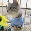 Kattdräkter Sphynx kläder Autumn Winter Stripe Pet Clothing for Dog Cotton Soft Kitten Kitty Coat Jacket Puppy Outfit