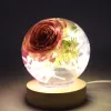 Ausrüstungen DIY Onepiece Sphärische Kristall -Epoxidharzform Trockenblüten Kugel Spiegel Silikonform