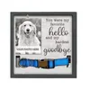 Dog Apparel Pet Supplies For Cat Collars Memorial Picture Frame Collar Keepsake Shadow Box Sympathy Gift Loss Of Or